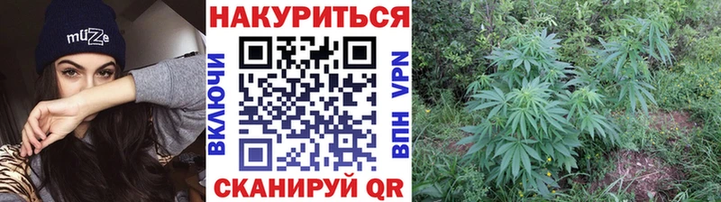 Купить  Черногорск  Бошки марихуана ГИДРОПОН 